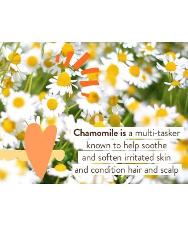 Babo Botanicals Fragrance-Free 3-in-1 Baby Wash & Shampoo 15 fl. oz. - Vegan, Organic Shea Butter, Coconut Oil, Calendula & Oat - EWG Verified - Buy Online on GoSupps.com