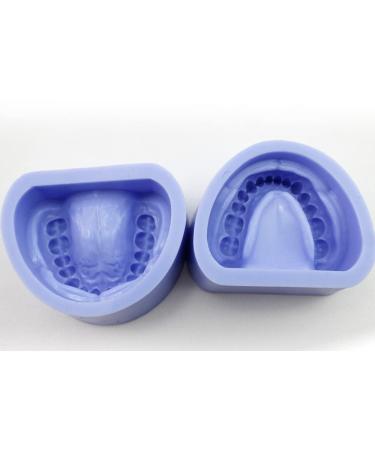 2pcs Dental Plaster Model Mold Mold of Complete Cavity Block Dental Supplies