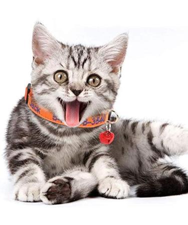 Personalized Cat Neck Bands with Bell - Custom Safety Buckle & Embroidered ID for Kittens - Orange - Buy Online on GoSupps.com