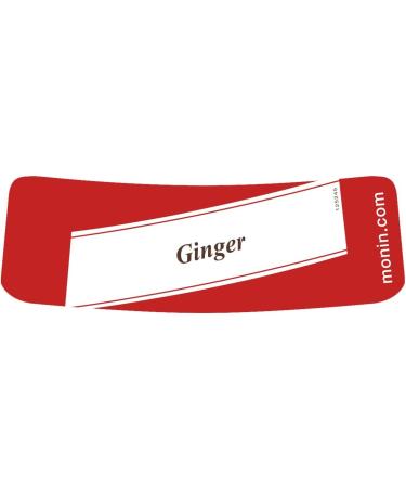MONIN Premium Ginger Syrup 700ml - Vegan-Friendly for Cocktails & Mocktails - Buy Online on GoSupps.com