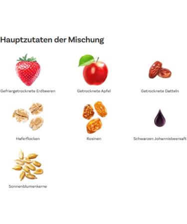 OneDayMore Muesli aux Fruits | 3 x 400 g | Flocons d avoine 100% naturels | Sans sucre ajout | Petit-d jeuner sain avec flocons d avoine pommes fraises et dattes - Buy Online on GoSupps.com