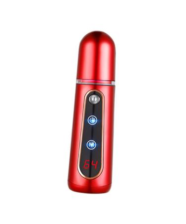 BIUDECO Facial Humidifier Facial Mist Sprayer Moisturizer Spray Steamer for Facial Mini Face Spray Device Steamboat Whitening
