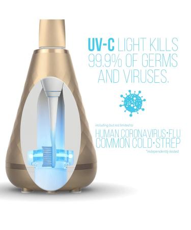 TAO Clean Umma Diamond Sonic Toothbrush - Ergonomic, Dual Speed, Gold Cleaning Station - Buy Online on GoSupps.com