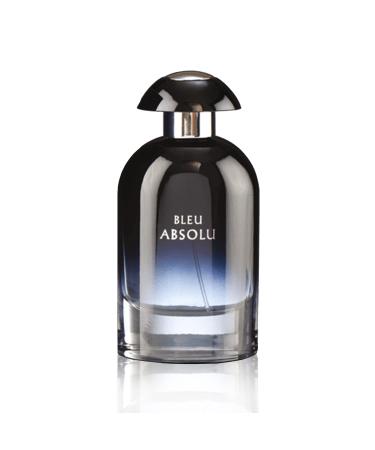 Hybrid & Company Bleu Absolu Eau De Parfum Natural Spray for Men Woody Oud Cologne Long Lasting Concentrated Luxury fragrance 3.4 Fl Oz/100 Ml - Buy Online on GoSupps.com