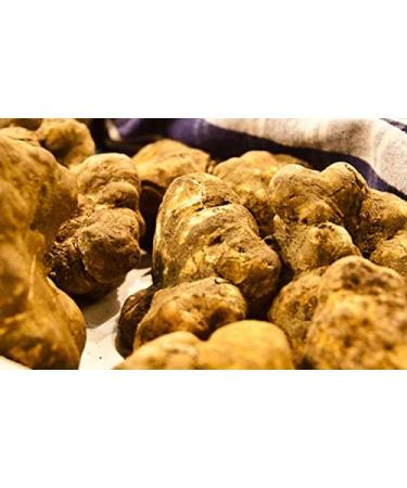 Natural Sunflower Oil with White Truffles - Premium Gourmet Truffle Oil for Cooking & Salads (200ml) - Buy Online on GoSupps.com