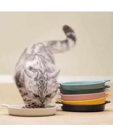 BiteKing Ceramic Cat Bowl - Whisker Fatigue Relief Dish for Cats - Shallow Wide Feeding Plate for Kittens - 2 Pack (Dark Green & White) - Buy Online on GoSupps.com