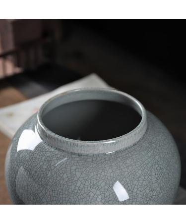 Sealed Tea Caddy Tea Cans Ceramic Sealed Cans Tea Cans Household Coffee Cans Living Room Candy Cans Tea Storage Cans Tea Jar with Lid - Buy Online on GoSupps.com