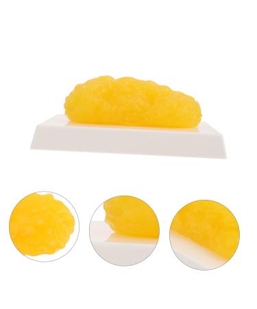 Gatuida Anatomical Fat 4pcs Fat Model Models Human Body Fat Plastic Body Fat Human Fat 1 Pound Demonstration Device Module - Buy Online on GoSupps.com