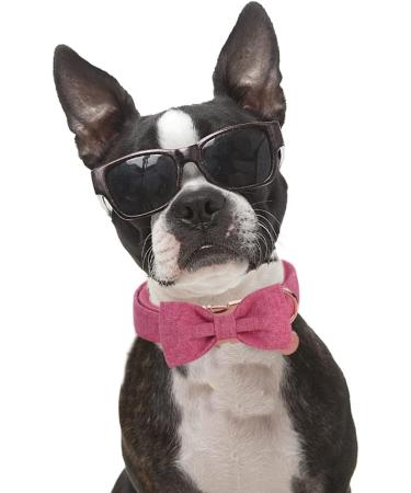 Buy Dogwong Adjustable Dog Collar with Removable Fly - Black Pet Collar for Small & Medium Dogs | Perfect Gift for Boys & Girls - Pack of 1 - Buy Online on GoSupps.com