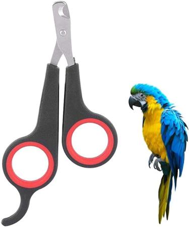 Juliyeh Pet Nail Clipper Professional Claw Trimmer Kitten Nail Clipper for Cat Small Breed Dog Rabbit and Small Animal(Stainless Steel) Black - Buy Online on GoSupps.com