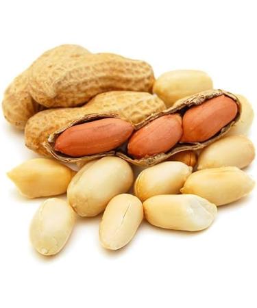 Roasted Peanuts in Shells 1kg (Monkey Nuts) by Hatton Hill - Free UK Delivery - Buy Online on GoSupps.com