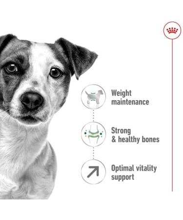 Royal Canin Mini Adult 8+ | 800 g | Complete food for older dogs of small breeds | From 8 years old | Adjusted energy content and adapted kibble size - Buy Online on GoSupps.com