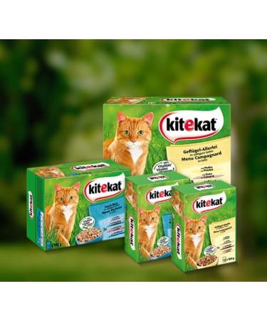 KITEKAT Pack of 24 sachets of 85g - For country picnics in sauce - Buy Online on GoSupps.com