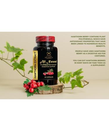 OLANTA TRADE SOLUTION Premium Hawthorn Berry Extract Pills Herbal Antioxidant & Daily Wellness Formula Antioxidant-Rich Herbal Supplement Vegan Non-GMO 1 Bottle 60 Capsules - Buy Online on GoSupps.com