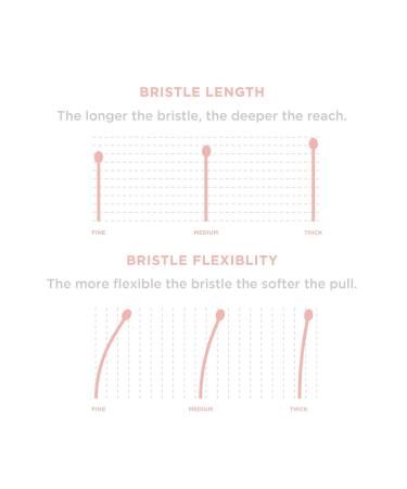 Gimme Beauty Fine Hair Brush - Damage-Free Detangling for Thin & Fragile Hair - Anti-Static Heat Resistant Bristles - Ideal Detangler for Women & Kids - Buy Online on GoSupps.com