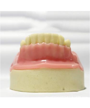 Buy Fhuili Dental Implant Practice Model - Mandibular Missing Teeth Simulation with Soft Gums for Oral Demonstration - Ideal for Dental Training - Buy Online on GoSupps.com