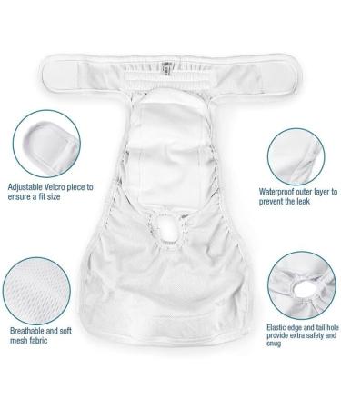 High-Suction Washable Dog Diapers for Bitches | 2 Pcs | International Shipping - Buy Online on GoSupps.com