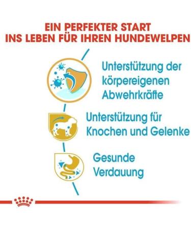 Royal Canin Dog Food Dachshund Puppy Dry Mix 1.5kg - Buy Online on GoSupps.com