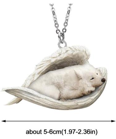 RJSQAQE Dog Trailer Necklace - Cute Sleeping Dog Acrylic Pendant | Perfect Dog Memorial Jewelry for Dog Moms & Lovers - Buy Online on GoSupps.com