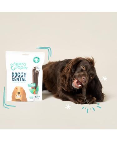 Edgard & Cooper Medium Dog Dental Sticks - Natural Eucalyptus & Apple Chews for Fresh Breath | Low Calorie Long Chewing Treats - Buy Online on GoSupps.com