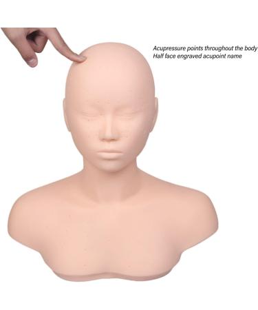 T te de Mannequin de Massage avec paules Points D'acupuncture Int gr s Mat riau de qualit Sup rieure pour Entra nement de beaut Pratique de L'acupuncture - Buy Online on GoSupps.com