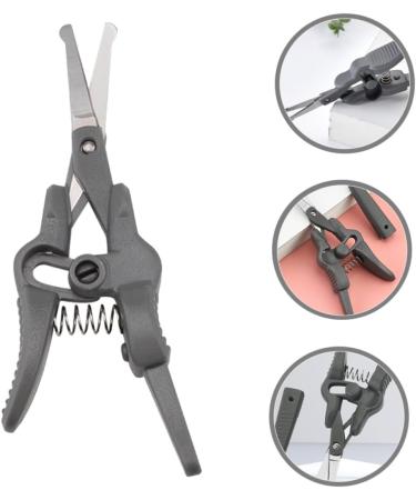 Beaupretty 4pcs Men's Eyebrow & Nose Hair Scissors Set - Round Head Facial Grooming Tools for Precision Trimming - Buy Online on GoSupps.com