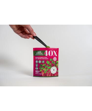 40X Microgreen Powder - Daily Nutional Welleness 1 Ounce (Pack of 1)