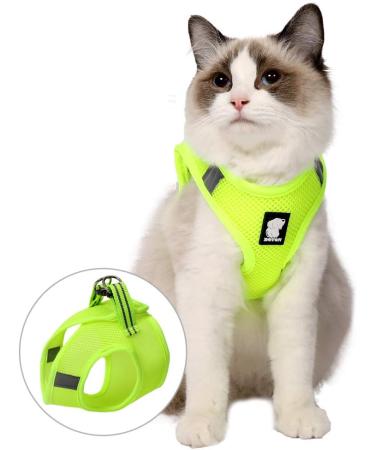 Ultra-Light Adjustable Cat Dish & Escape Protection Vest for Kittens and Puppies - Padded Running Jacket (Fruit Green) | 1 Pack - Buy Online on GoSupps.com