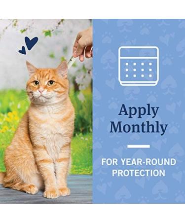 PetArmor Advanced 2 Flea Prevention for Large Cats - 6 Month Supply - Buy Online on GoSupps.com