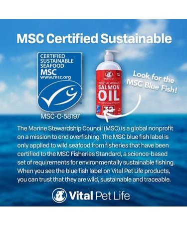 Salmon Oil for Dogs & Cats 32oz - Omega 3 EPA DHA Liquid Supplement | Healthy Skin, Coat, Joint & Bone Health | Natural Allergy & Immune Support - Buy Online on GoSupps.com