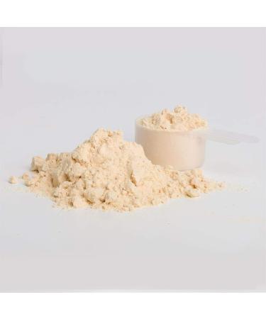 Organic Vegan Protein Powder | Non-GMO Pea & Rice Protein | Gluten/Soy/Sugar-Free | 30 Servings - Buy Online on GoSupps.com