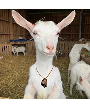 7 pack Grazing Copper Bells Metal Cow Bells for Dogs Animal Copper Loud Bronze Bell Small Brass Bell for Cow Horse Sheep Cats Small Pets Anti-Theft Accessories (Bronze) - Buy Online on GoSupps.com