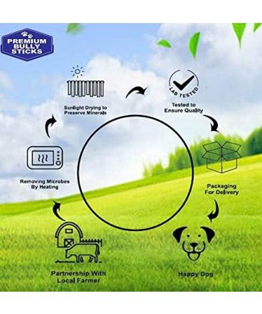 Premium Bully Sticks for Dogs/Chien | 6" Dog Chews | 20 Treats 300g | 100% Beef Puppy Chew | Natural Odor All Natural No preservatives Large Dental Pet Food from Canada 20 Count (300g) - Buy Online on GoSupps.com