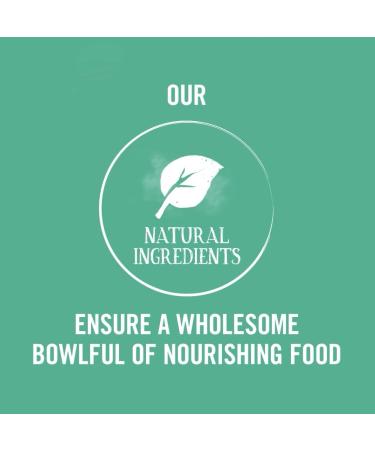 Butcher's Traditional Recipes Dog Food Trays 150g 24 Pack - Buy Online on GoSupps.com