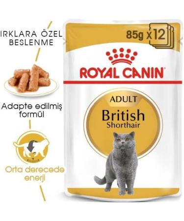 Royal Canin British Shorthair Adult Wet Cat Food Pouches 12 x 85g - Buy Online on GoSupps.com
