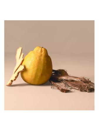 Being Frenshe Hair Body & Linen Mist Body Spray with Essential Oils - Bergamot Cedar - 5 fl oz - Buy Online on GoSupps.com