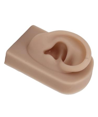 Simulated Ear Model Reusable Human Ear Model Right Ear Easy To Use Comfortable for Acupuncture Practical Training for Earrings Display(Brown)