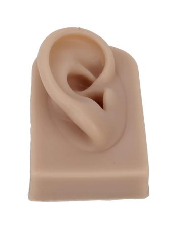 Human Ear Model Right Ear Reusable Multi Purpose Easy to Use Comfortable Fake Ear Model for Ear Piercing Training for Headphones Display(Brown)