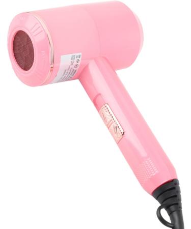 Electronic Hair Dryer Compact Hair Dryer Fast Drying Low Noise Blow Dryer High Powered Overheat Negative Ion Hair Dryer for Home (US Plug 110V) - Buy Online on GoSupps.com