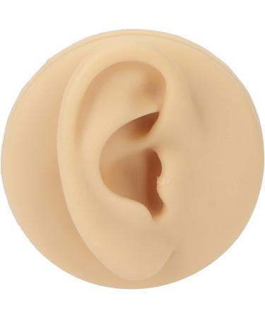 Human Right Ear Model Human Ear Model Clear Internal External Structure Soft Silicone Waterproof for Ear Learning for Suppliers - Buy Online on GoSupps.com