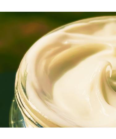 Buy Renew Face Cream - Hydrating Anti-Aging Moisturizer for All Skin Types | Fast International Shipping - Buy Online on GoSupps.com