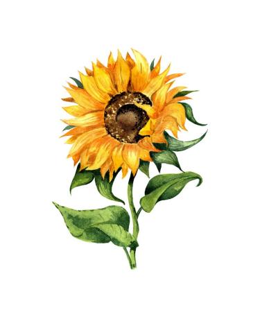 Sunflowers Temporary Tattoo Sticker Set - Waterproof Yellow Watercolor Body Art for Women - Set of 24 (SF181) - Buy Online on GoSupps.com
