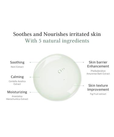 Dr. Althea Fresh Deep Noni Toner & Lotion - Hydrating Vegan Formula for Acne Dark Spots & Fine Lines with Hydrolyzed Hyaluronic Acid - Buy Online on GoSupps.com