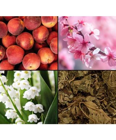  Tesori d'Oriente Tesori d'Oriente Ikigai Aromatic Shower Cream with Cherry Blossom and Rice Water Shower Cream for Body Care Ritual for Body and Senses 250 ml - Buy Online on GoSupps.com