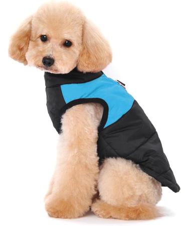 Ectkuee Winter Dog Coat - Waterproof Quilted Puffer Jacket for Small Dogs | Warm & Cozy Pet Clothes 3XL Bleu - Buy Online on GoSupps.com