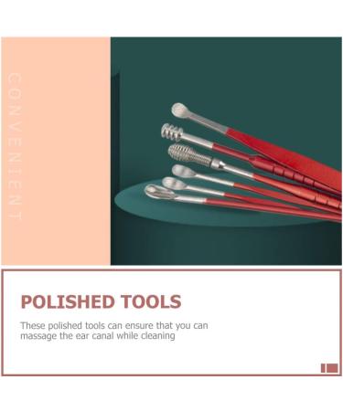 FRCOLOR 1set Stainless Steel Ear Cleaning Kit with Travel Case - Portable and Comfortable Earwax Removal Tools - Buy Online on GoSupps.com