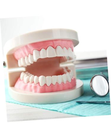 Kichouse Toy 1 PC Tooth Model - Standard Typodonto Dental Health Model for Kids | Eco-Friendly Plastic - Buy Online on GoSupps.com