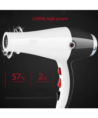2000W Powerful Hair Dryer Professional Salon Dry Hair Hairdryer Power Ionic Blow Dryer with 2-Speed and 3 Temperature Settings Cool Shot Function Powerful AC Motor Fast Drying for Home and Salon small - Buy Online on GoSupps.com