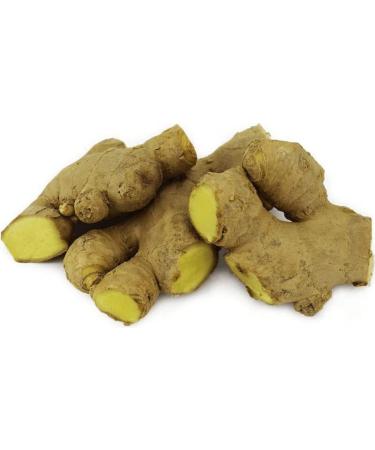 BIO PLANET Bulk packaging (KG) - INGWER organic freshness (over 4 kg)