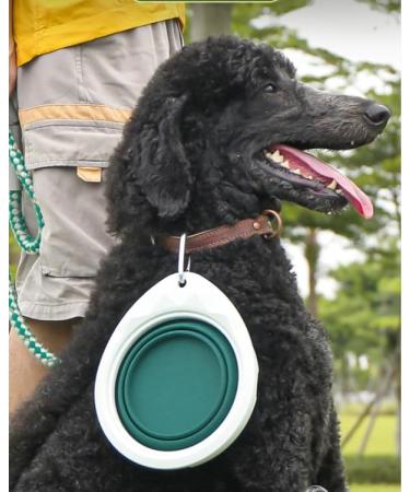 Buy Bepetmia Foldable Reisenapf Dog & Cat Bowl | Portable Silicone Travel Bowl 600ml with Stand - Extra Thick Beige - Buy Online on GoSupps.com